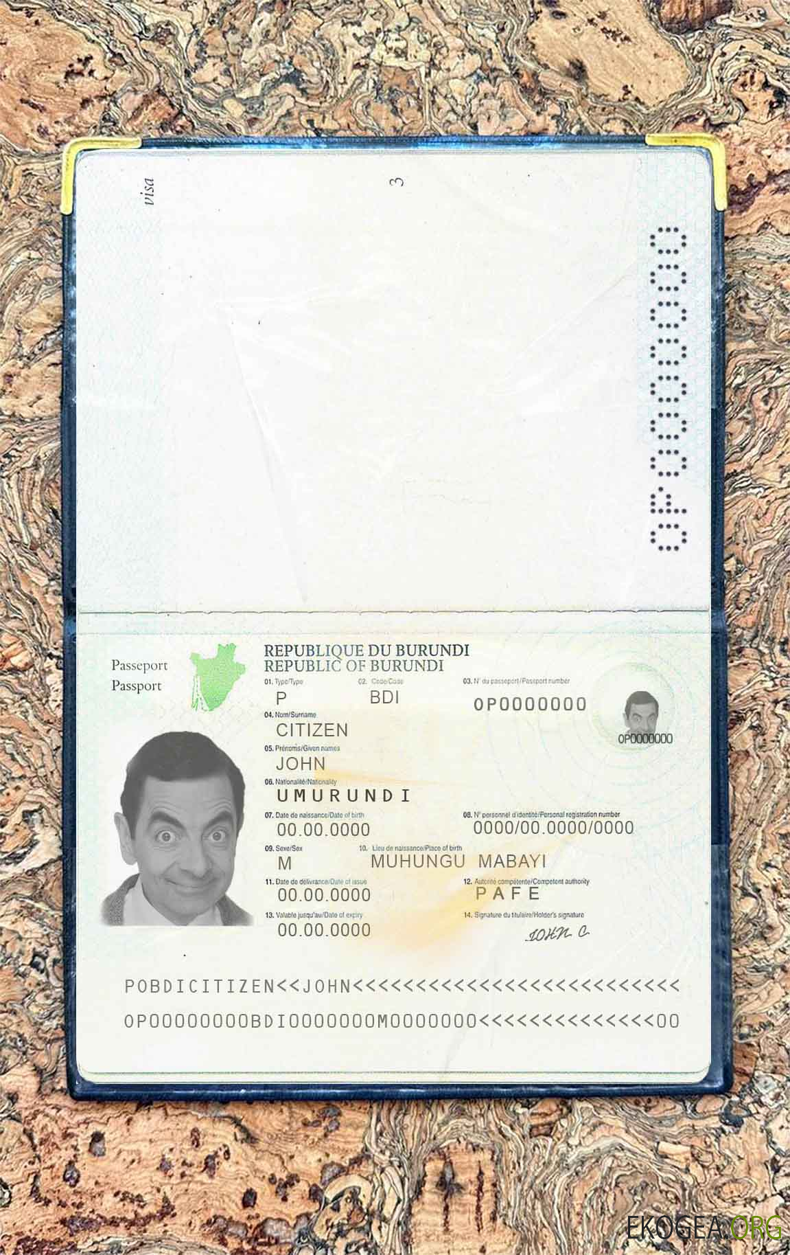 Aperçu photo du passeport burundais (2011 2019)